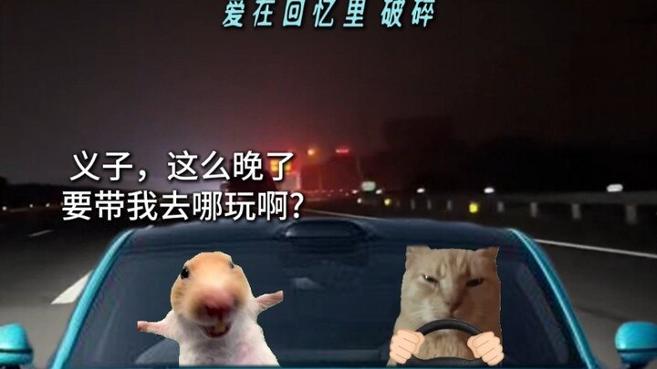 好兄弟失恋、雨夜、飙车，这怎么解？