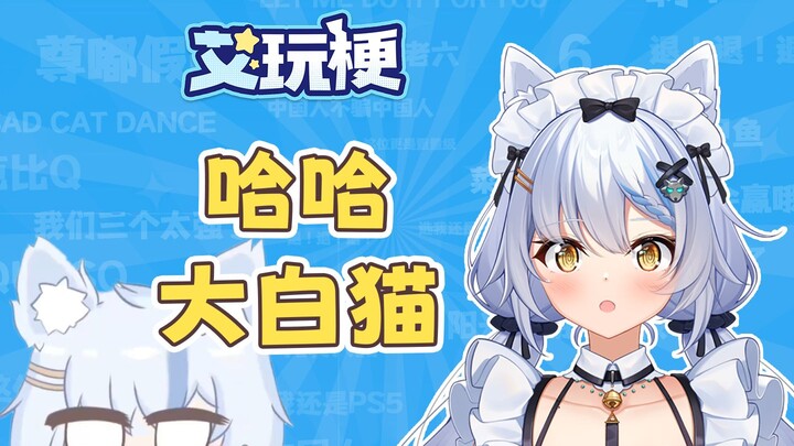 Haha, kucing putih besar! Meme apa itu?