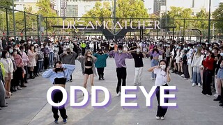 [Dreamcatcher] Biên đạo múa gốc khen ngợi cảnh quay! Điệu nhảy ngẫu nhiên mới nhất của Odd Eye, hát 