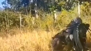 PANEN DULU LANGSUNG GAS!!! JALAN-JALAN