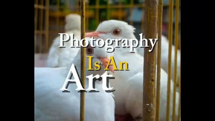 Photography is an art