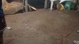 song tayo