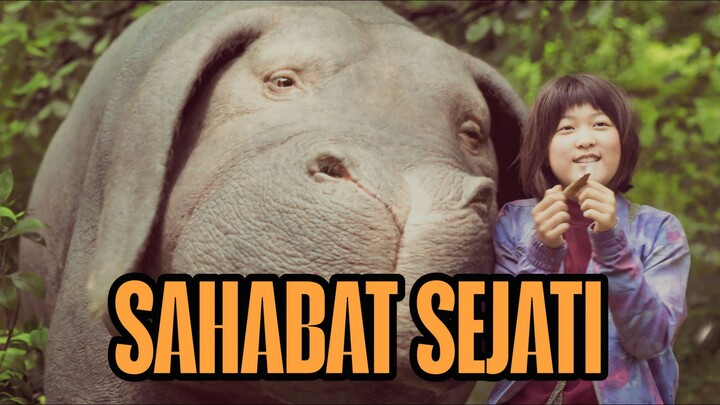 KISAH PERSAHABATAN MIJA DAN OKJA