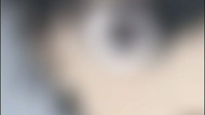 BACHIRA ketcheeeh💐✨