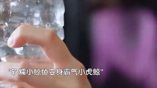 呆萌小鲸鱼变身暴躁小虎鲸，从正义小律师到搞笑审判长~这反差感真的绝了！笑S我了哈哈哈~