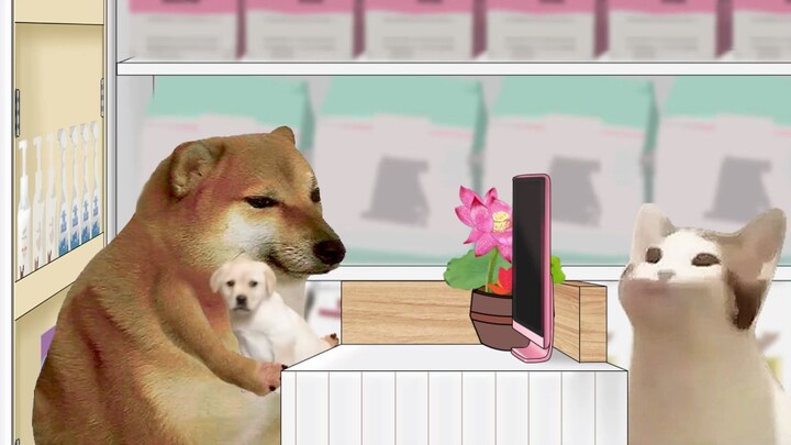 ชีมส์ รักตัวเองก่อนแล้วค่อยรักตัวเอง