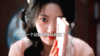 糟了…编剧真养过猫！女主和她的猫侍从相处太欢乐了～