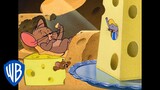 Tom & Jerry in italiano | Dov'è il formaggio? | WB Kids