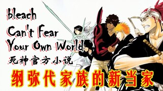 【死神官方小说】Can't Fear Your Own World 第一章（纲弥代的新当家）