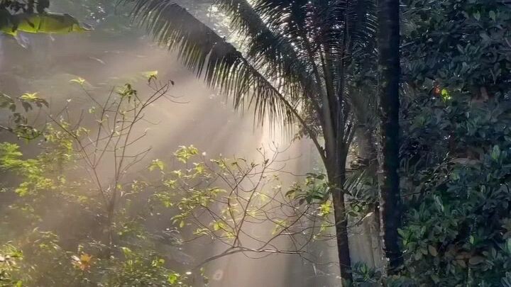 sejuk bikin kangen