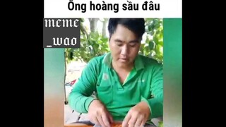 ông hoàng sầu đâu