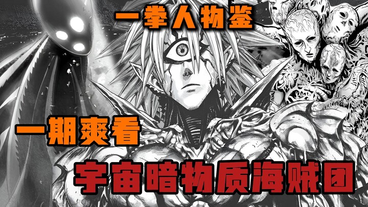 【一拳人物鉴】绝大多数人都没真正了解的强大军团|强者如云却仍遭败北|一期爽看 宇宙暗物质海贼团...