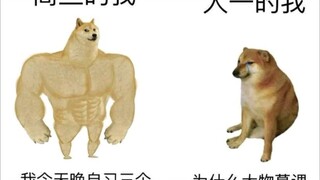 网络上cheems的那些沙雕图   第三弹