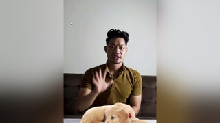 5 cách để chó không tự cắn chân của mình petonesaigon dcgr tuitienpet