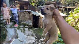 Banyak piaraan di rumah kakek, ternyata juga ada banyak barang kuno.