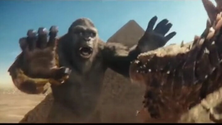 เมื่อคุณแค่อยากช่วยเหลือผู้อื่น แต่คนตรงหน้ากลับเป็นหมาบ้า: