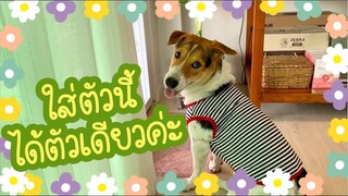โลกของแสนดี ตอน เสื้อตัวสุดท้ายของหนู