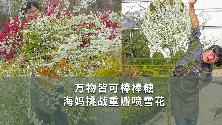 كل شيء يمكن تحويله إلى مصاصة: هايما تتحدى رش الثلج المزدوج البتلات!