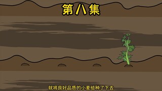 【小陈求生】08集：种下（良好）小麦种子