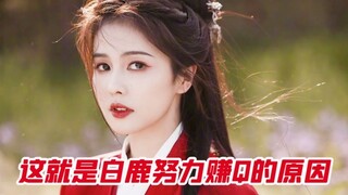 Bạch Lộc: Tôi chỉ muốn phát tài nhanh chóng