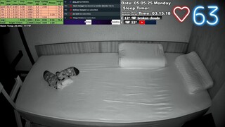 Sleep Stream 5.05.2025