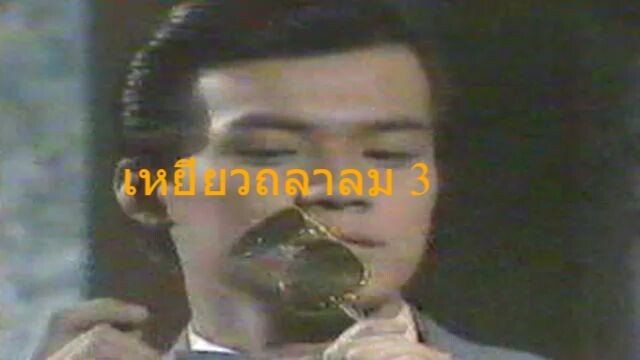 เหยี่ยวถลาลม3