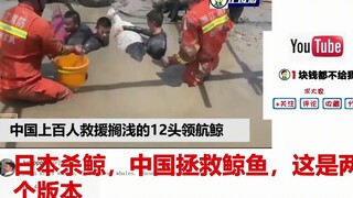 中国上百人救援12头搁浅鲸鱼 美国网友：美国人命还不如中国鲸鱼