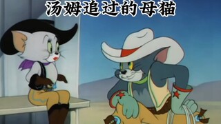 哪只母猫最好看