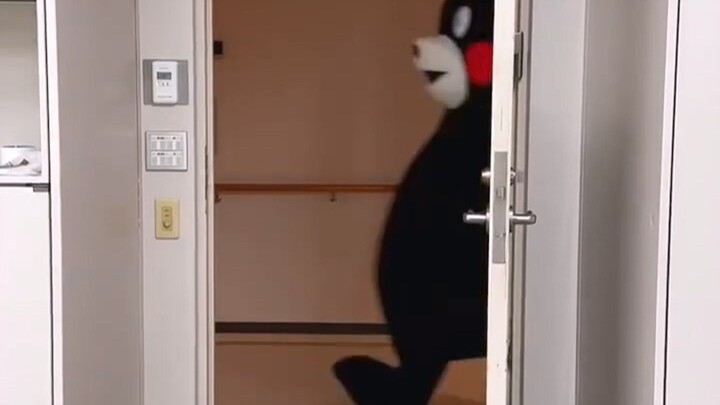 Kumamon yang pergi kerja di pagi hari