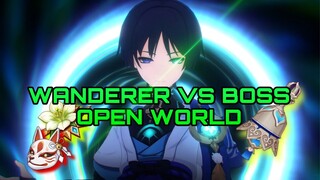 WANDERER VS BOSS [TEST DAMAGE]