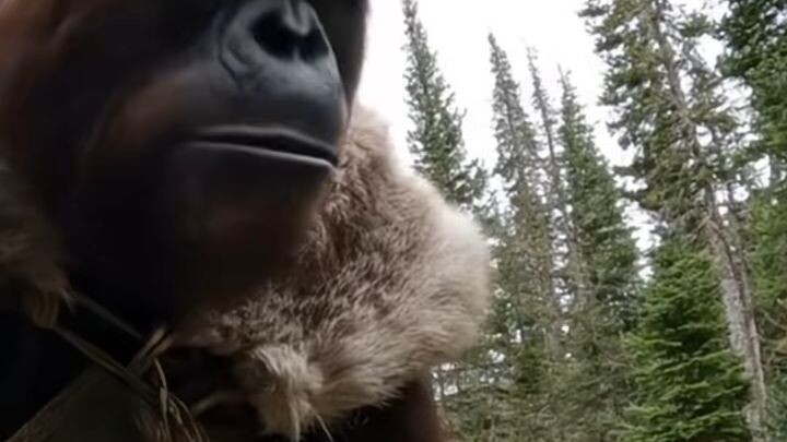 BiggieFoot Found the Missing Annabelle Doll #fyp #foryoupage #bigfoot #vlogger#annabelle #missing #a