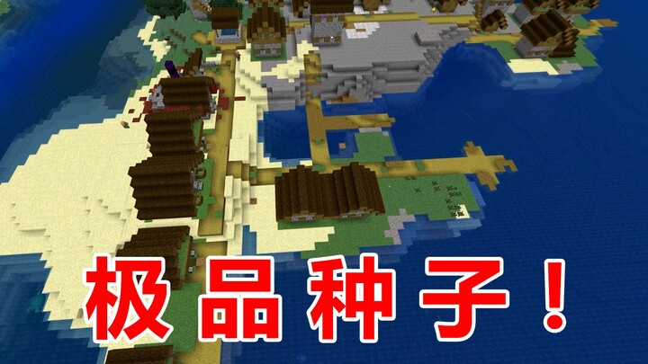 An excellent village seed with 11 blacksmith shops!
