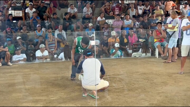 Gull x TH (WIN) (san andres quezon cockpit arena)