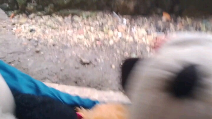 Tcsn Pressure | Wing faster Episodes