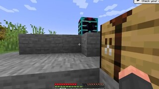 Minecraft nhưng mình sở hữu Gậy Phép Thuật Nguyên Tố