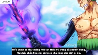 Nguồn Gốc Xuất Thân Của Zoro_ - Mối Liên Hệ Với Monkey D. Dragon I 3