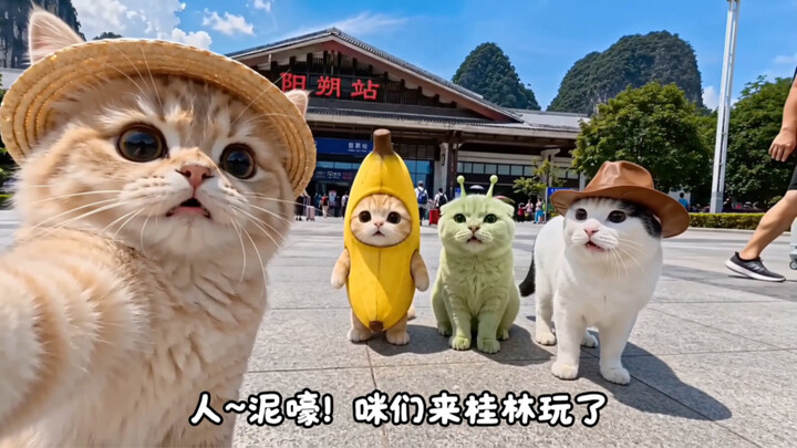 Người ơi, vào đi cùng Mimi đến Quế Lâm nào