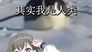 你知道吗，其实我不是一只企鹅🐧