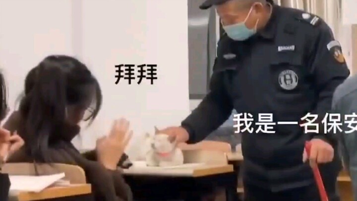 พบสาเหตุที่รุ่นพี่แมวต้องเรียนซ้ำชั้นแล้ว!