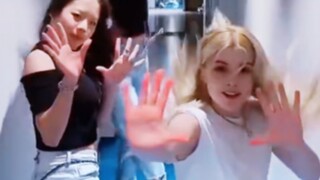 King Bomb Challenge! JYP's U.S. Girl Group VCHA Official TikTok Update