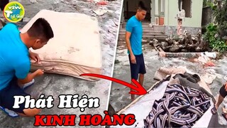 10 Khoảnh Khắc Thót Tim Nếu không Có Camera Ghi Lại .. Chắc Chẳng Ai Tin Những Câu Chuyện Này Đâu.