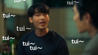 “这个 tui 是和马群耀梦幻联动了”