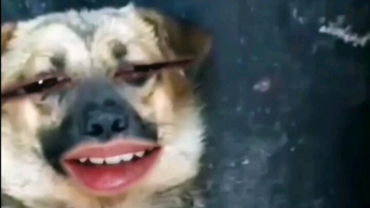 ทำไมถึงหยอกไม่ได้ล่ะ