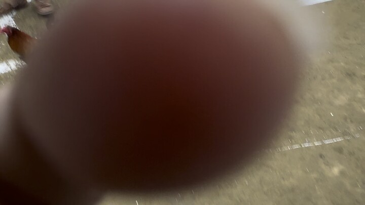 HACKFIGHT FASTEST KILL😇🙏🐓