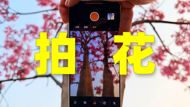 【ถ่ายภาพด้วยมือถือ】บอกลาภาพดอกไม้เสีย! จำ 4 เคล็ดลับการจัดองค์ประกอบนี้ไว้เลย!