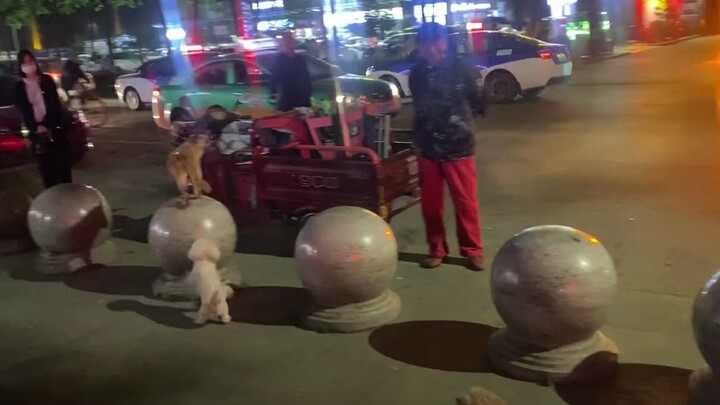 أعيد نشر النسخة الأصلية: العم صاحب السروال الأحمر هو صاحب الجرو الصغير، وغالبًا ما يلعب في منطقة مصن