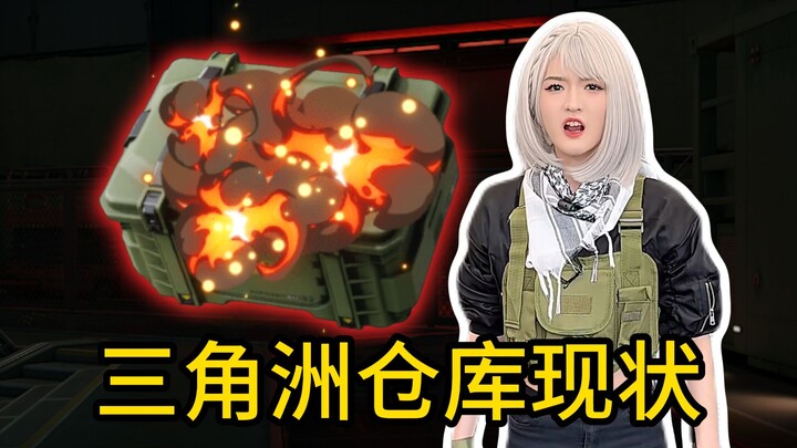 Current Status of the Delta Operation Warehouse