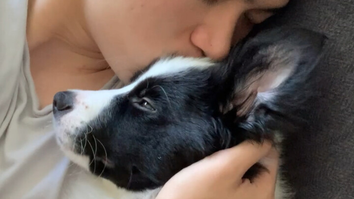 I'm Your Puppy - Crying While Cutting