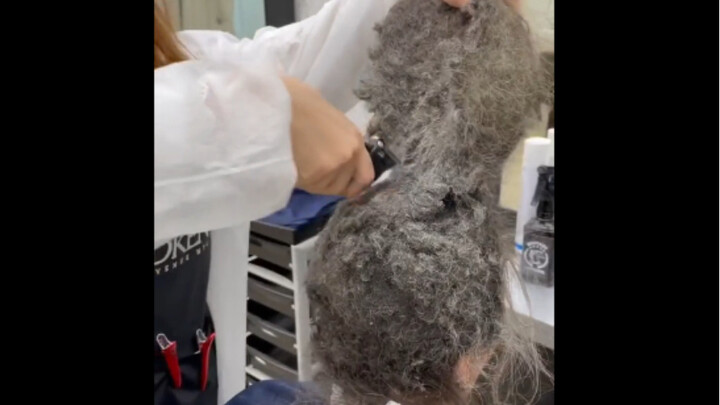 This Russian woman hasn’t washed her hair in six months because she’s been lying in a rehab therapy 