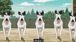 假如乔纳森养了五只丹尼